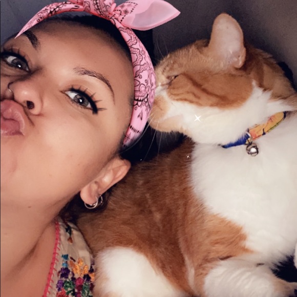 Meet your Posher, Juliet - Picture 1 of 1